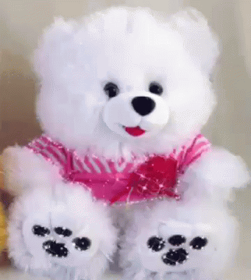 Teddy Bear Shiny Oso GIF