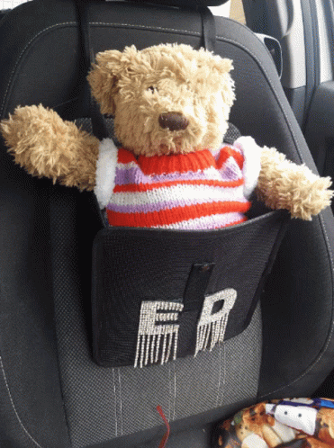 Teddy Bear On Baby Car Seat GIF