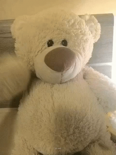Teddy Bear 373 X 498 Gif GIF