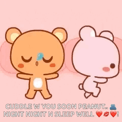 Teddy Bear and Bunny Cuddle W You Soon Peanut