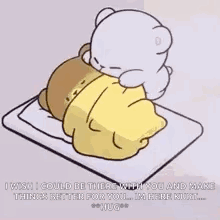Teddy Bear Covering Another Teddy