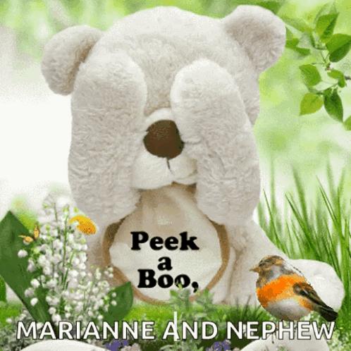 Teddy Bear Covering Eyes Peek A Boo