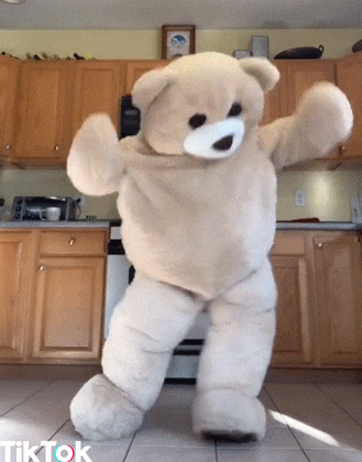 Teddy Bear Dancing In Kitchen GIF