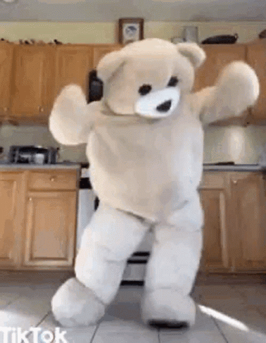 Teddy Bear Dancing in Kitchen TikTok