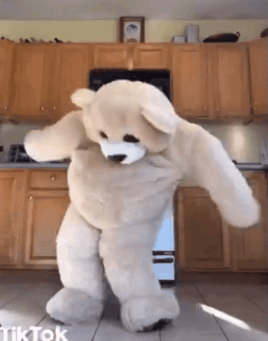 Teddy Bear Dancing In Kitchen With TikTok Watermark GIF
