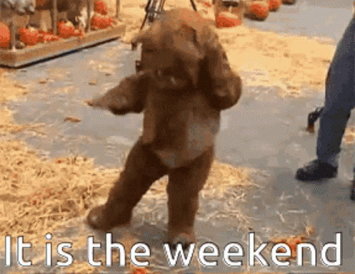 Teddy Bear Dancing It Is The Weekend