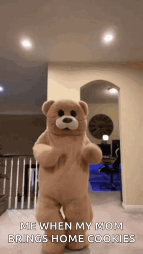 Teddy Bear Dancing Me When My Mom Brings Home Cookies GIF