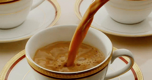 Teddy Bear Drinking Tea Saying Chai GIF