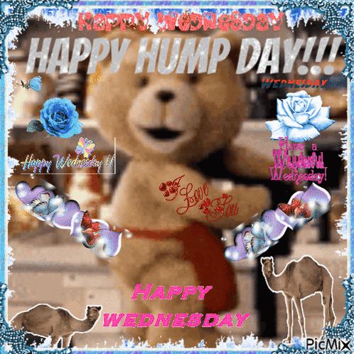 Teddy Bear Happy Hump Day