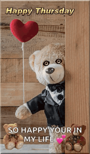 Teddy Bear Happy Thursday Meme GIF