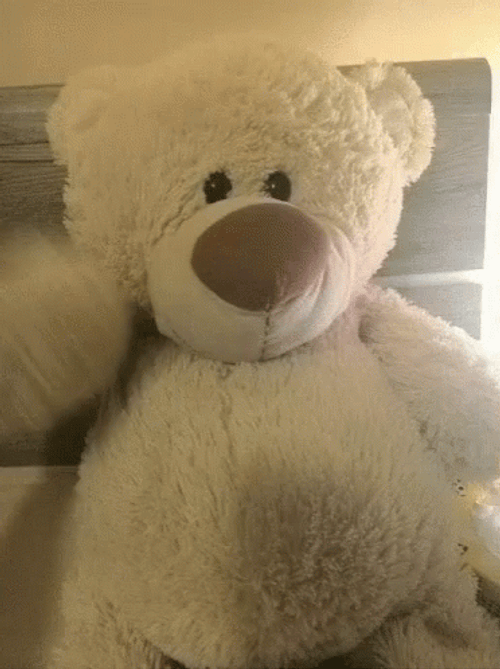 Teddy Bear Hi Hello GIF