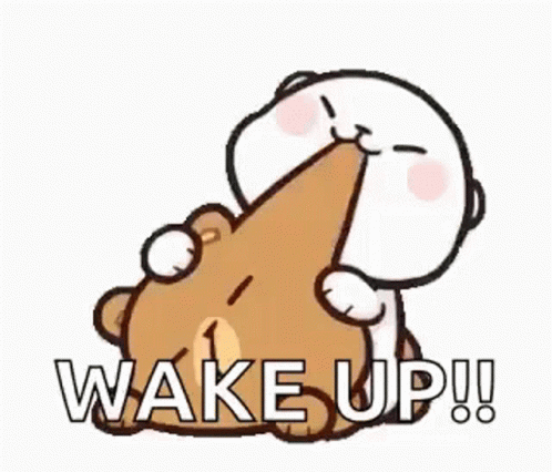 Teddy Bear Holding Another Bear Saying Wake Up