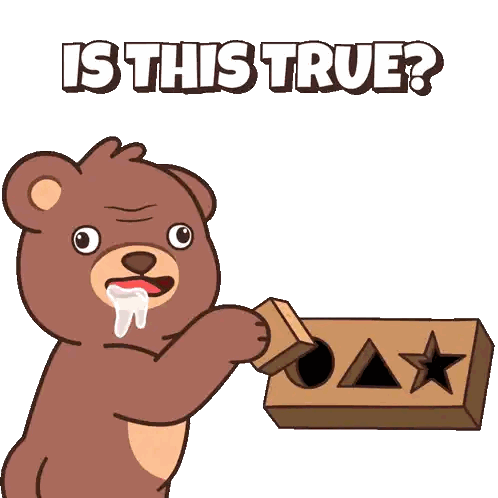 Teddy Bear Holding Box Saying Is This True