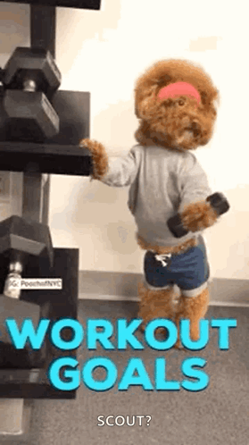 Teddy Bear Holding Dumbbell Wearing Headband