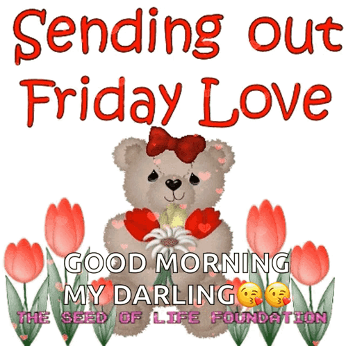 Teddy Bear Holding Flowers Sending Out Friday Love Good Morning My Darling