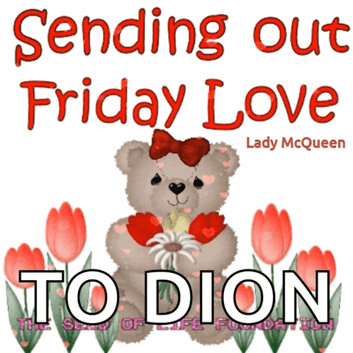 Teddy Bear Holding Flowers Sending Out Friday Love to Dion