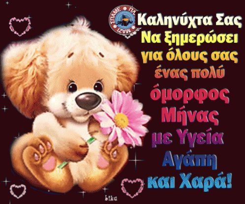 Teddy Bear Holding Pink Flower With Greek Message