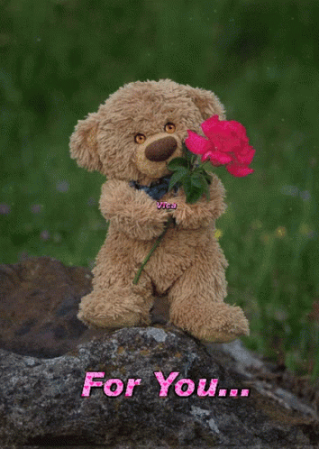 Teddy Bear Holding Pink Rose Saying For You GIF