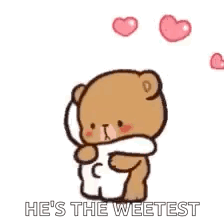 Teddy Bear Hugging Another with Heart Eyes