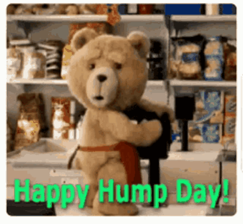 Teddy Bear Hugging Mailbox Saying Happy Hump Day