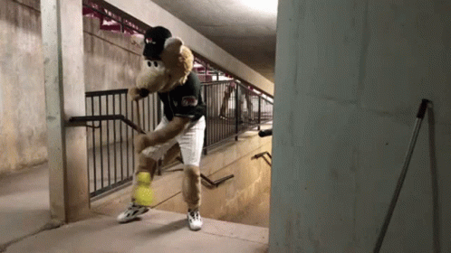 Teddy Bear in Baseball Uniform