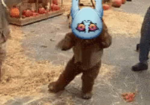 Teddy Bear in Bunny Costume