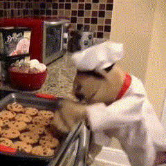 Teddy Bear in Chef Hat Cooking Cookies