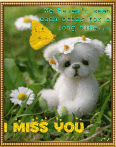 Teddy Bear in Grass With Butterfly Saying I Miss You