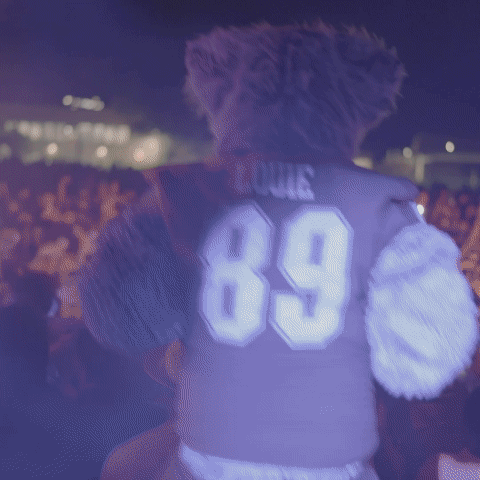 Teddy Bear in Louis 89 Jersey