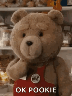 Teddy Bear In Red Apron Saying Ok Pookie GIF