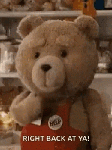 Teddy Bear in Red Help Apron