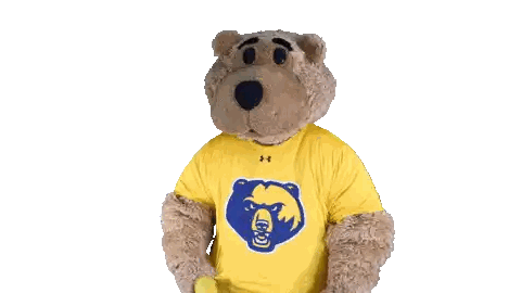 Teddy Bear in Yellow Shirt