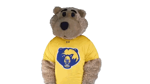 Teddy Bear in Yellow Shirt With Logo