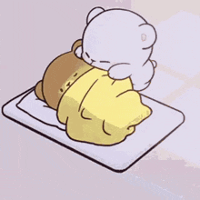 Teddy Bear Laying on Another Teddy
