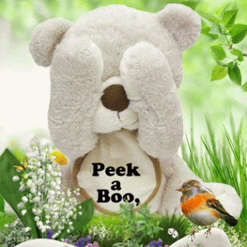 Teddy Bear Peek A Boo