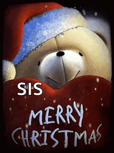 Teddy Bear Santa Hat Scarf Merry Christmas Sis
