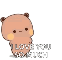 Teddy Bear Says I Love You So Much