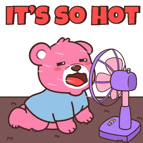 Teddy Bear Sitting in Front of Fan