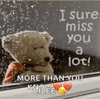 Teddy Bear Sitting with Miss You Message
