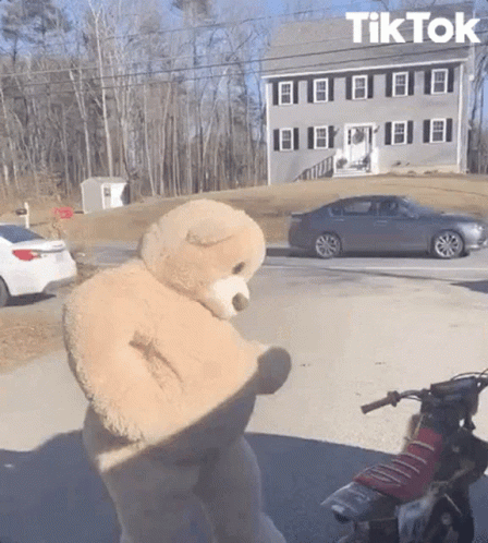 Teddy Bear Standing Next to Motorcycle and Car