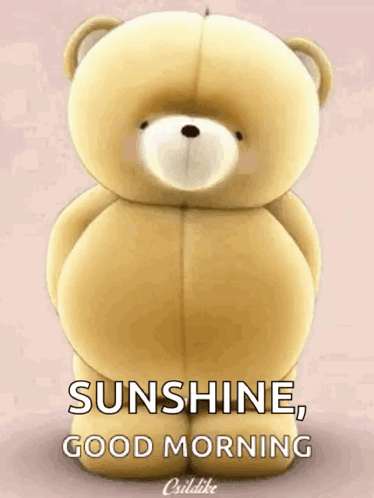Teddy Bear Sunshine Good Morning