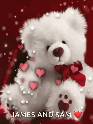 Teddy Bear Surrounded by Hearts James and Sam