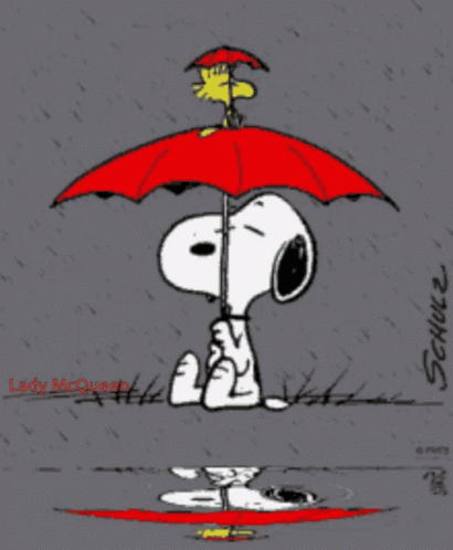 Teddy Bear Under Umbrella Rainy Day Hugs Good Morning GIF