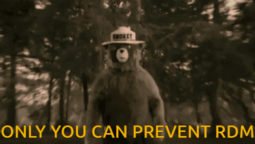 Teddy Bear Wearing Smokey Hat