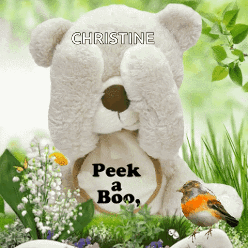 Teddy Bear With Christine Peek a Boo