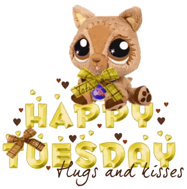 Teddy Bear With Happy Tuesday Hugs