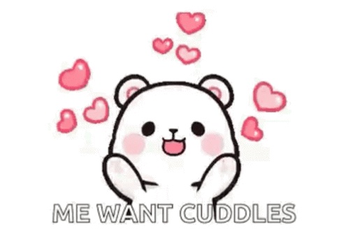 Teddy Bear with Hearts and Cuddles