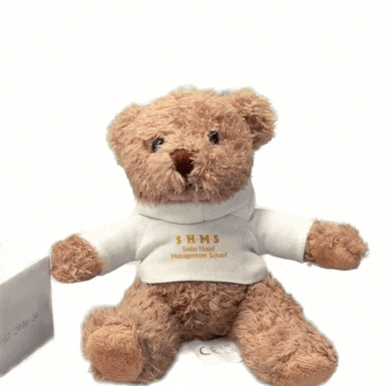 Teddy Bear With Swiss Hotel Management School Shirt