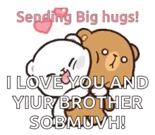 Teddy Bears Hugging Saying Sending Big Hugs GIF