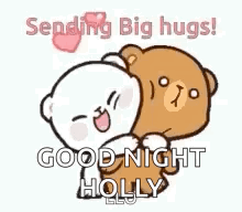 Teddy Bears Hugging Sending Big Hugs Good Night Holly GIF